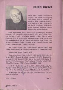 Ah Beyoğlu Vah Beyoğlu Salah Birsel