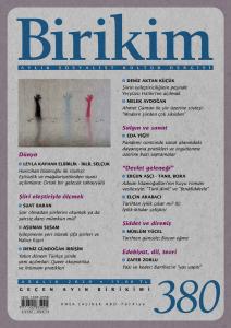 Birikim 380 Aralık 2020 Kolektif