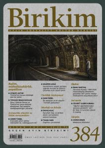 Birikim 384 Nisan 2021 Kolektif