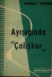 Ayışığında Çalışkur