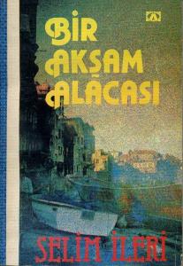 Bir Akşam Alacası
