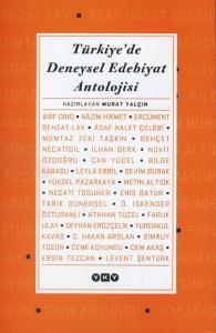 Türkiye'de Deneysel Edebiyat Antolojisi