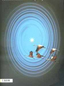 Schrödinger'in Kedisi Rüya