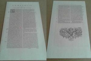 Doğu Akdeniz Haritası Kolektif